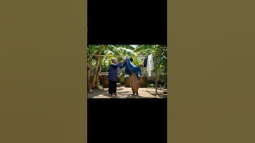 Bà và Capybara | Capy không thấy đường #capybara #funny #ytshorts #haihuoc #giaitri #shorts #fyp