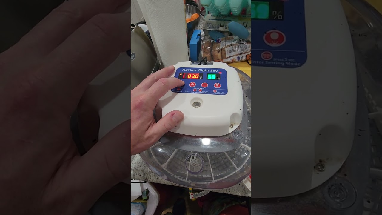 How to setup the Nurture Right 360 Incubator