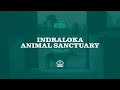 Indraloka animal sanctuary