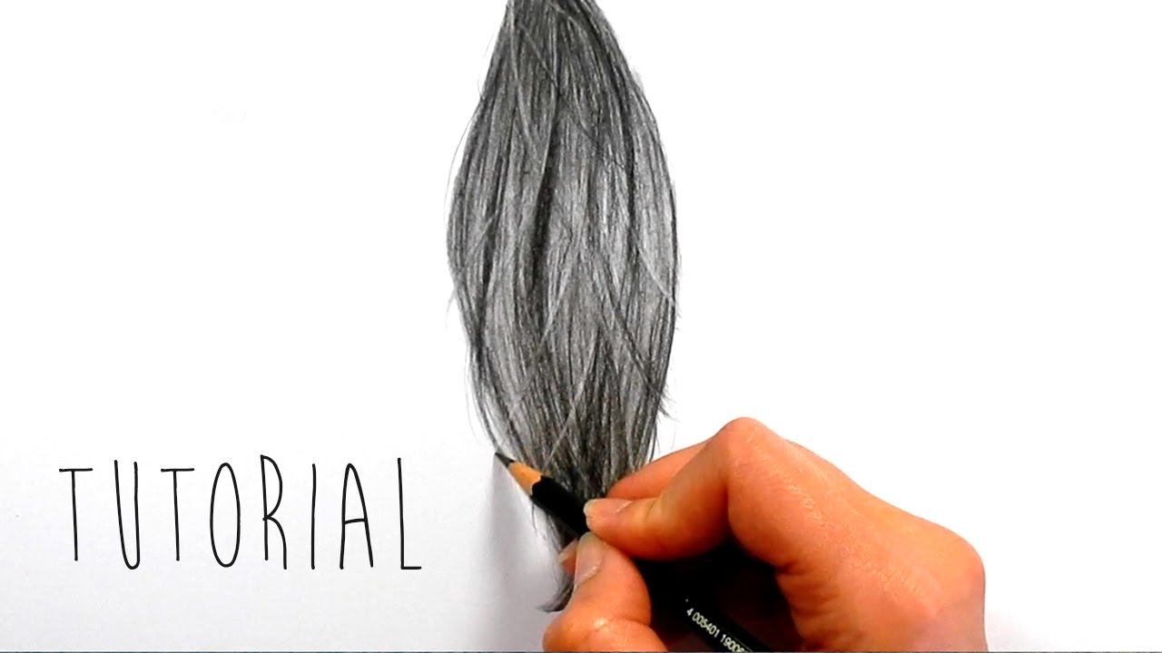 Tutorial How to draw, shade realistic hair with graphite pencils