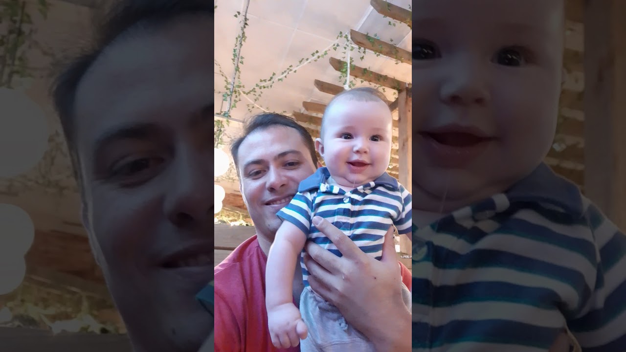 Mundo Animal - YouTube