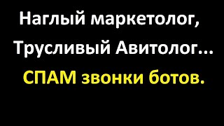 Офигевший маркетолог и странный Авитолог  -  СПАМ звонки ботов.