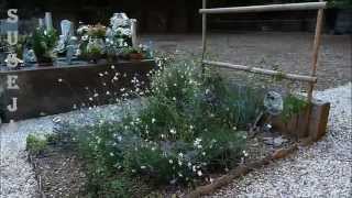 Tombe De Michel Polac A Cabrerolles Dans Lherault