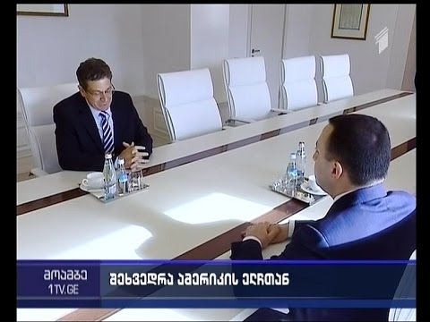 პრემიერი აშშ-ის ელჩს შეხვდა