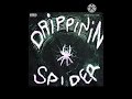 Lil Gotit Drippin In Spider Slowed mp3