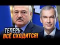 ❗️ ЛУКАШЕНКО зробив РАПТОВУ заяву! Білорусь почали готувати до... / ЛАТУШКО