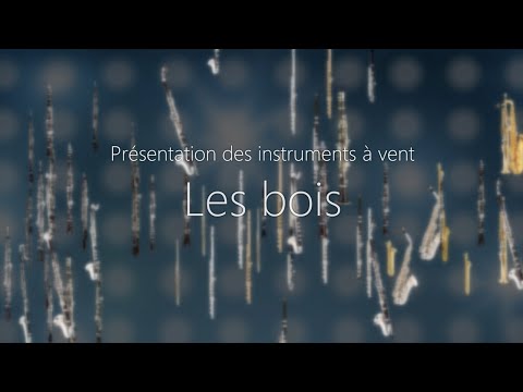 Vidéo: Quels instruments à vent ont une anche double ?