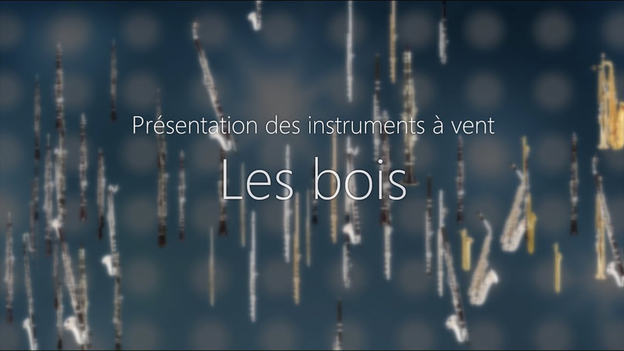 Vidéo Pédagogique - Instruments À Vent - Les Bois 