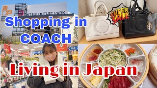 living In Japancoach In Japan Super Sale shopping In Home Center In Japan