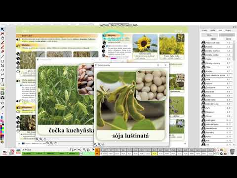 Video: Žerou vlci nějakou vegetaci?