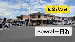 悉尼周边小镇一日游 Bowral & Berrima