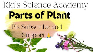 Discover the Amazing Parts of a Plant! 🌱