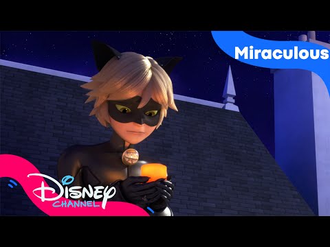 Cat Noir er ulykkelig forelsket | Miraculous | Disney Channel Norge