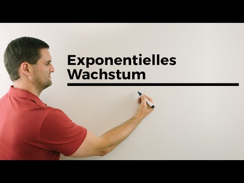 Video: Was bedeutet eine exponentielle Beziehung?