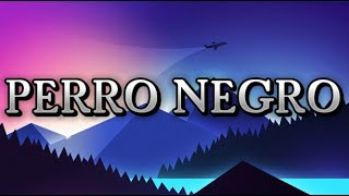 Perro Negro - Bad Bunny ft. Feid (Letra video)
