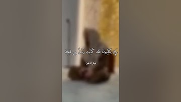 القارئ هيثم الدخين سورة فاطر محاكاة للقارئ محمد أيوب رحمه الله