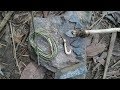 Primitive Technology:used-Build FISHING ROD-Primitive Life!