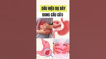 Dấu hiệu dạ dày của bạn đang cầu cứu