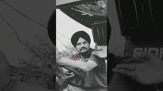 #sidhumoosewala#status #sidhumoosewala#viralvideo sidhu moose wala golden words#viralshorts#trending