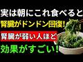 【今すぐ始めて】朝の食べ物と習慣を変えるだけで腎臓がどんどん元気になる！腎臓が弱い人は必見