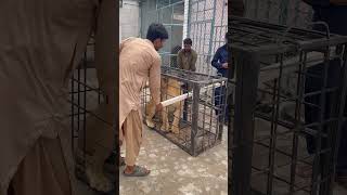 Lion Power🦁😡🫣😱#lion #shortvideo #power #bigcats #wildcats #Usama's Tigers Lion Power🦁😡🫣😱#lion #shortvideo #power #bigcats #wildcats #Usama's Tigers