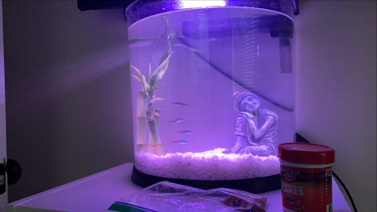 TopFin 3.5 Gallon Fish Tank Review