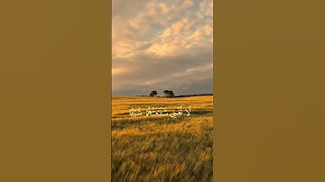 سورة النجم . شيخ محمود خليل الحصري #مع_القرآن الكريم#فلسطين حرة #سورة النجم #Free Palestine🇵🇸