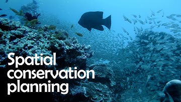 Spatial conservation planning