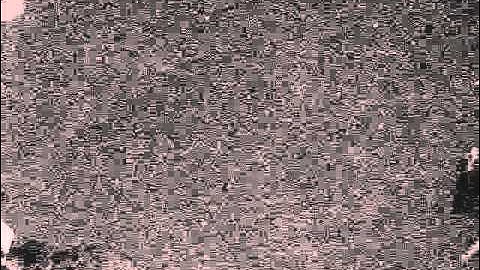 Geminid Meteors 2010 - HandyAvi meteor-capture mode using webcam