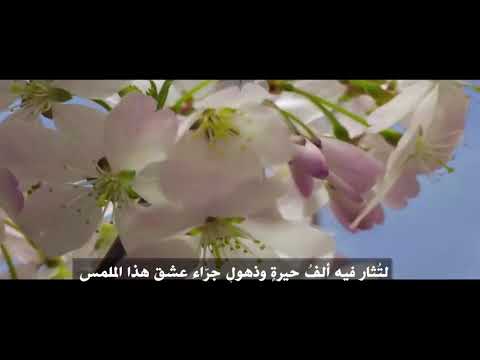 الملك الحن ان جلال الدين الرومي محسن چاوشی م ت رج م للعربیة  