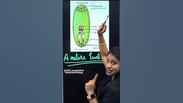 Understand The  Mature Embryo Sac With QuickShot Biology By Mamta ma