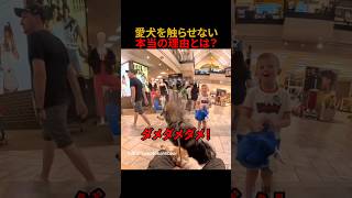 愛犬を触らせない本当の理由とは？#shorts