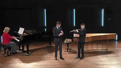 Georg Philipp Telemann (1681-1767): Concerto in e minor TWV 52:e1: I. Largo (ORDA 2019)