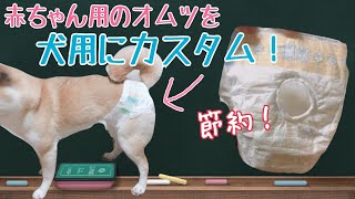 犬の【生理（ヒート）】に！コスパ◎見た目も◎なオムツの作り方✨