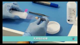 Milestone PrestoCHILL - 高品質冷凍切片的冷凍包埋科學
