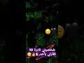 صحيح الصياعه ادب صحيح الصياعه ادب