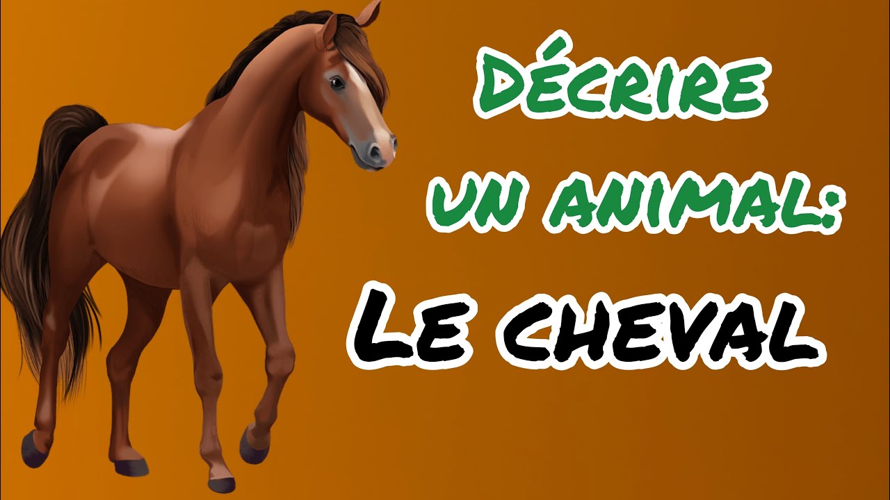 Décrire un animal:Le cheval