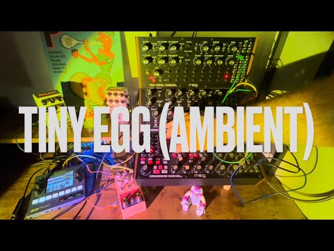 TINY EGG (AMBIENT JAM) - Moog Sound Studio (DFAM, Mother 32, SubHarmonicon) w/ Chase Bliss Audio