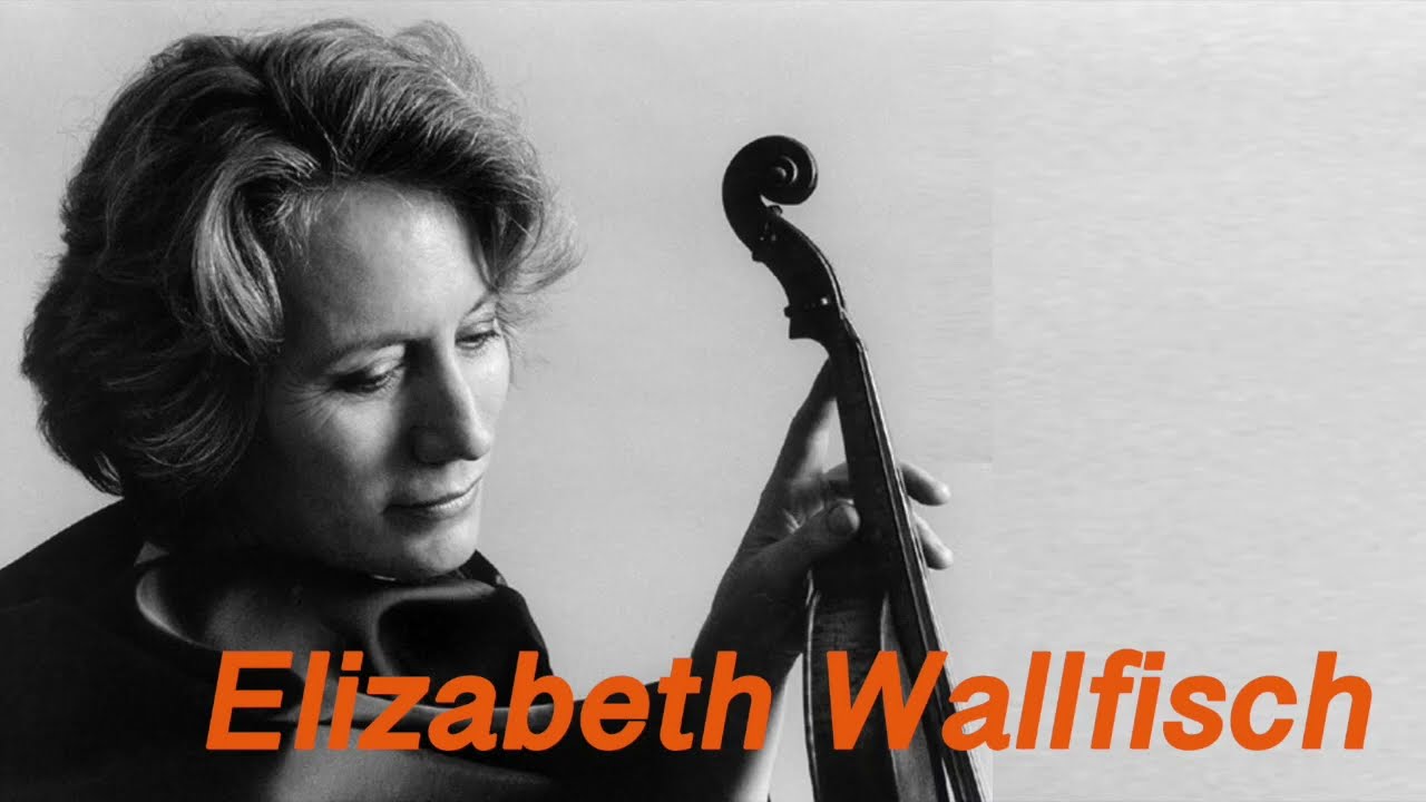 Play the Violin sheet music with Elizabeth Wallfisch/ Telemann: Violin Concerto in B Minor, TWV51:h2