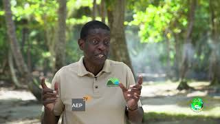 Saep Csa Training For 4Hers 2022