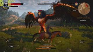 Witcher 3 RX 480 Gameplay FPS Test
