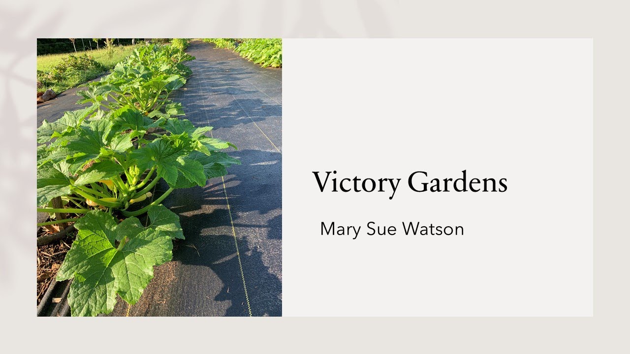 Heirloom Plants and Victory Gardens YouTube