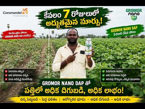 Nutritional boost for cotton crops with Gromor Nano DAP | Learn how and when to use it