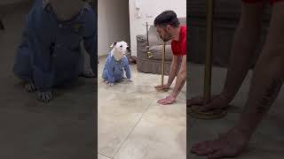 Esperimento con il mio cane )finisce benissimo) 🐶