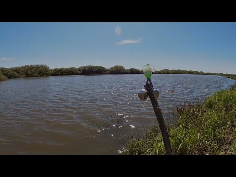 В поиске огромного ЯЗЯ