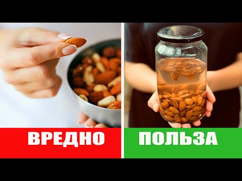 Фитиновая Кислота. Не допускайте этих ошибок