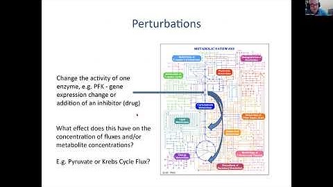 2023 Kinetic Modeling Virtual Course - Part 5: Metabolic Control Analysis - Herbert Sauro
