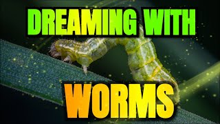 WORMS in Dreams