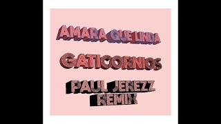 Gaticornios - Amara Que Linda (Audio) - Paul Jerezz Remix