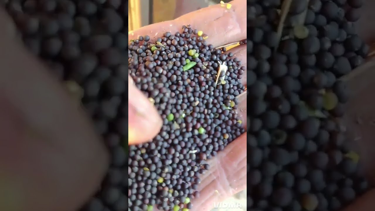 Седые пацаны из 90х (посвящается всем  сельским пацанам )